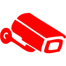 IDS logo